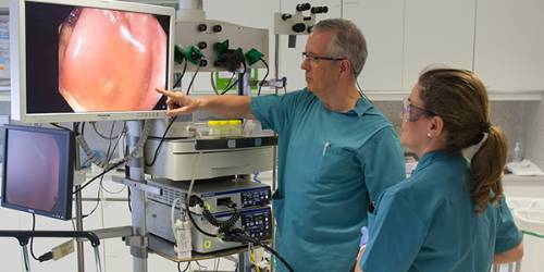 ¿Cuáles son las causas frecuentes de hemorragia del tubo digestivo alto?