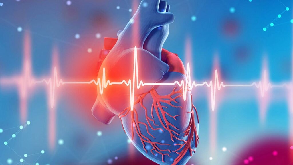 ¿Como se forman los ritmos ectópicos del corazón?