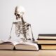 5 de los mejores libros de anatomía humana
