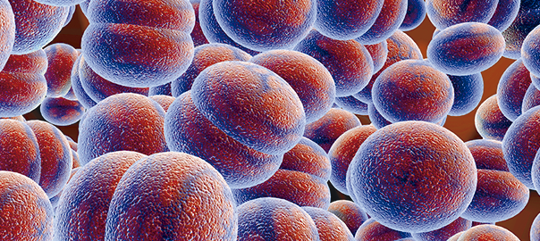 ¿Qué es la hematopoyesis?