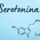 ¿Qué es la serotonina?