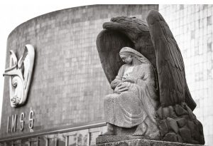 ¿Cuando se creó el IMSS?