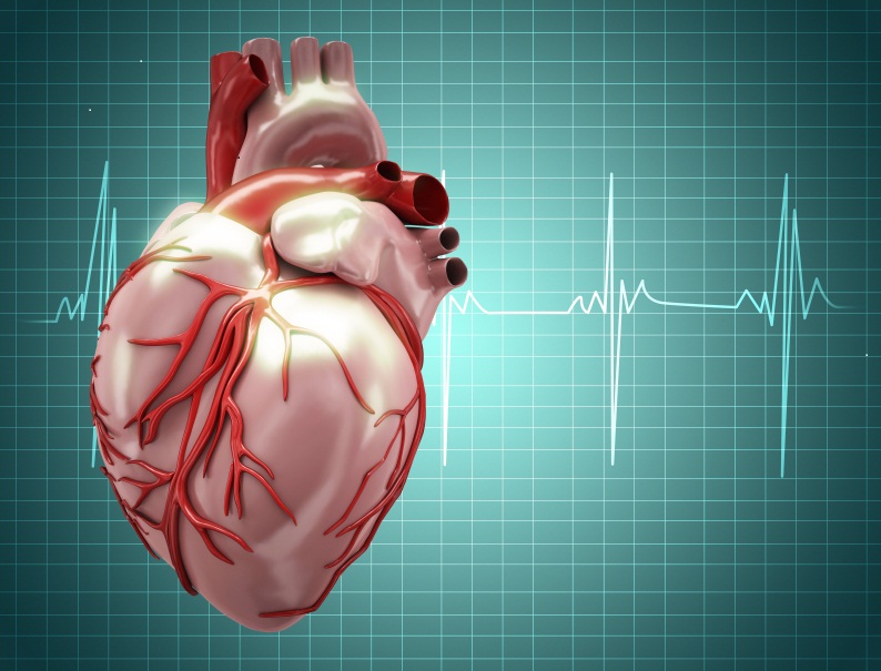 ¿Qué es el automatismo de las células cardiacas?