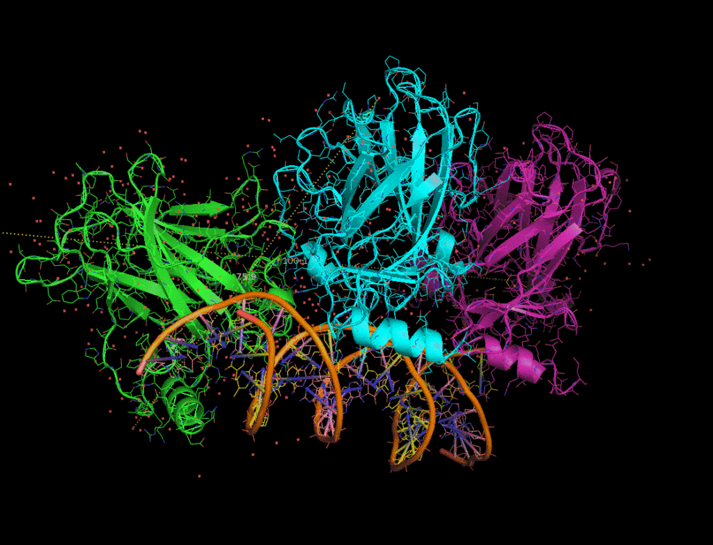 ¿Qué es la proteómica?