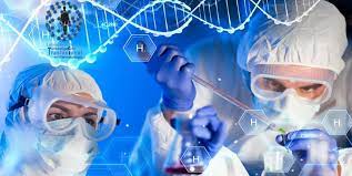 ¿Cuáles son las fases del desarrollo de fármacos?