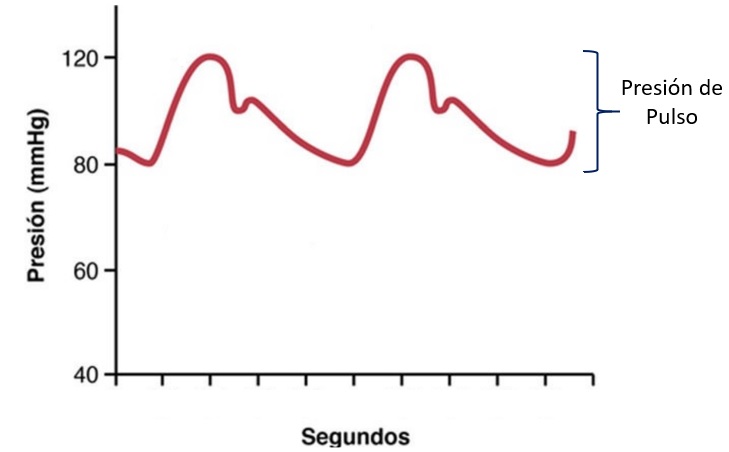¿Qué es la presión de pulso?