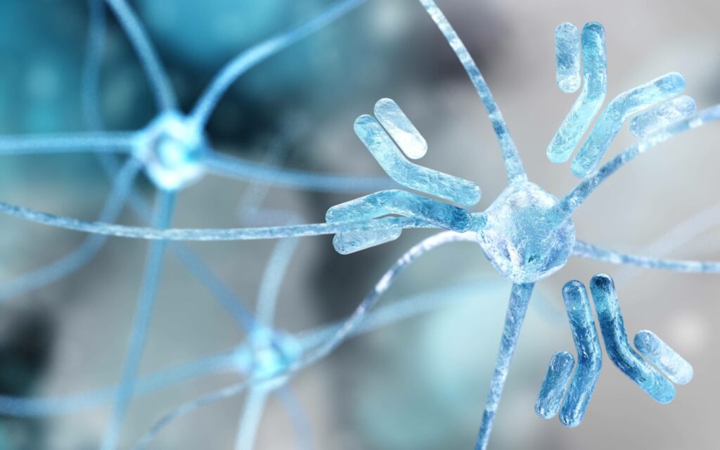 ¿Qué son las enfermedades autoinmunitarias?