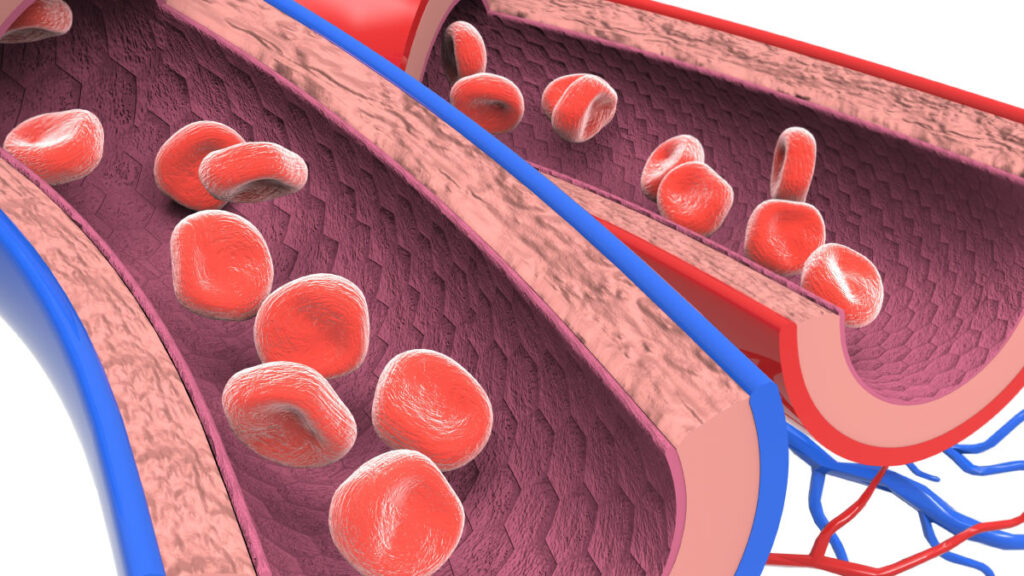 ¿Qué es la distensibilidad vascular?