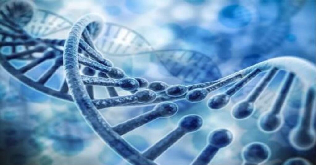 Importancia del estudio de la expresión génica