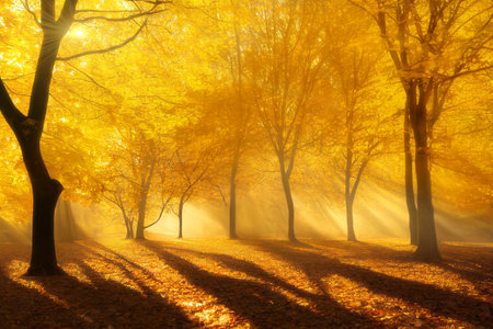 ¿Qué es la xantopsia?