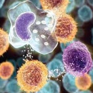 Tipos de reacciones de hipersensibilidad