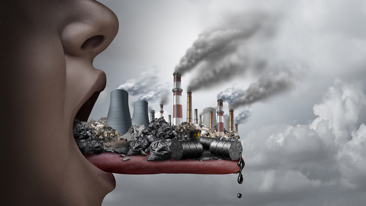 ¿Como afecta el plomo al organismo?