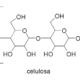 ¿Qué es la celulosa?