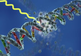 Tipos de efectos de la radiación ionizante en el organismo