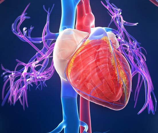 Clasificación de las miocardiopatías