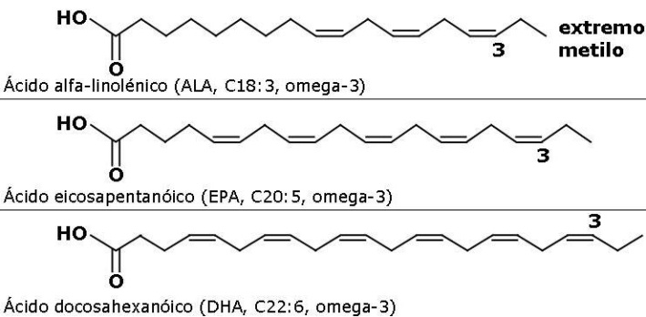 ¿Qué son los ácidos grasos omega-3?
