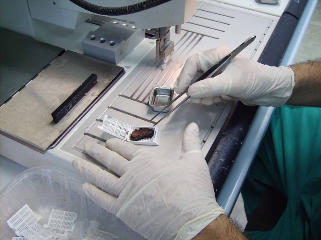 Técnicas auxiliares en histología