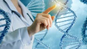 Estudio del organismo a nivel molecular