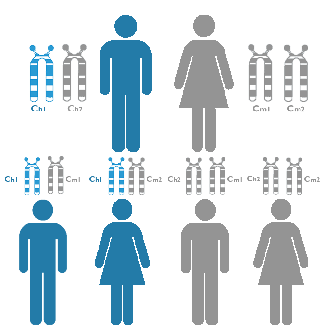 ¿Qué es la herencia autosómica dominante?