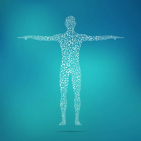 Distribución de los fármacos en el organismo