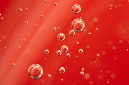 ¿Qué gases hay disueltos en la sangre?