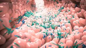 Defensas del sistema gastrointestinal