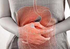 ¿Qué causa la alteración de la digestión y la absorción?