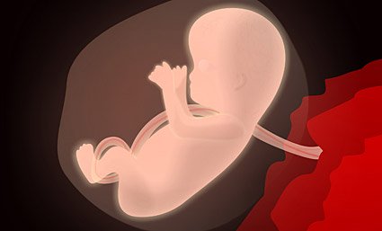 Transferencia de fármacos por la placenta