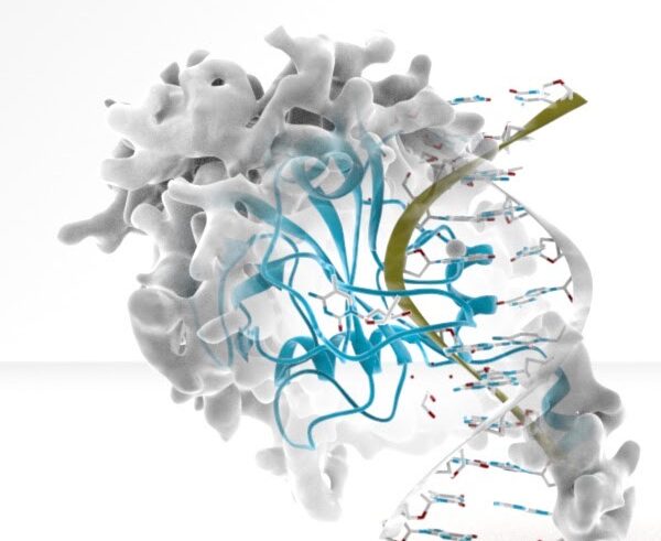¿Qué son los factores epigenéticos?