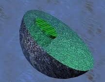 ¿Qué son los peroxisomas?