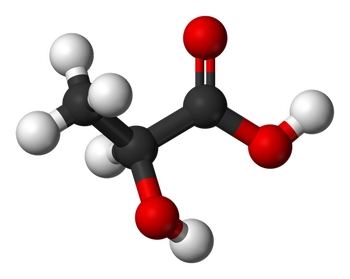 ¿Cuáles son los ácidos endógenos?