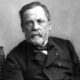 ¿Quién fue Louis Pasteur?