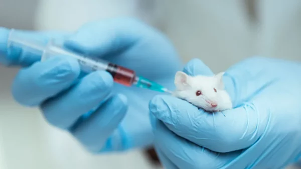 Estudio preclínico en el desarrollo de fármacos