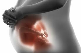 ¿Qué es una anomalía congénita?