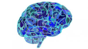 ¿Qué es la memoria?