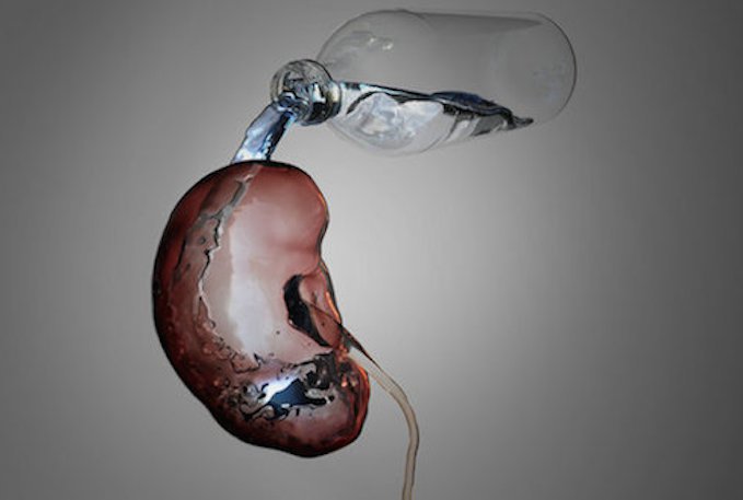 Pérdida de agua por los riñones