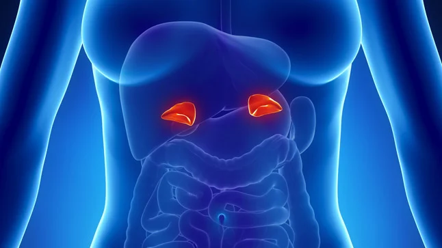 Causas de hemorragia suprarrenal bilateral