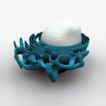 ¿Cómo está organizado el retículo endoplásmico?