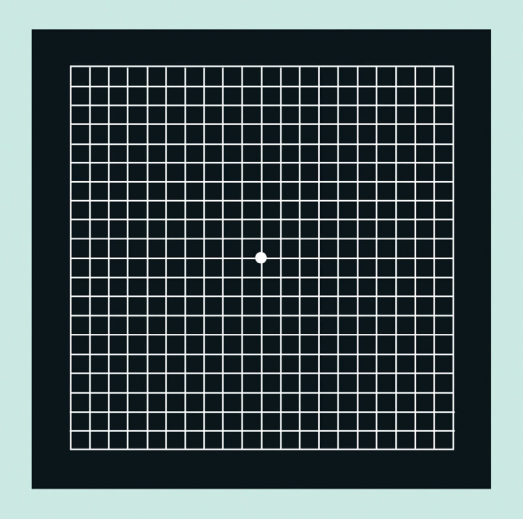 ¿Qué es la rejilla de Amsler?