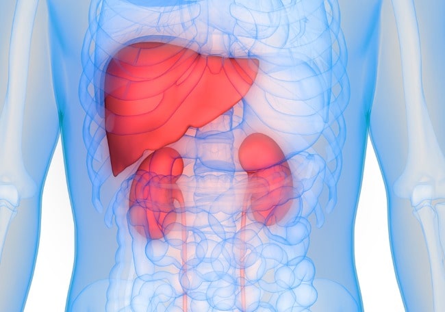 Características del síndrome hepatorrenal