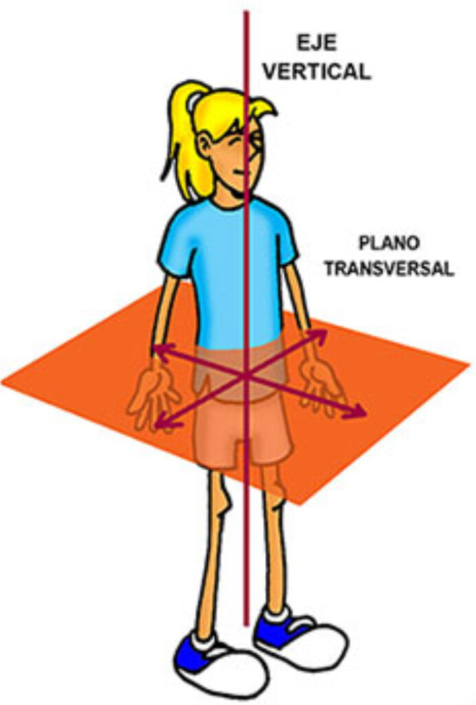 ¿Cuál es el eje longitudinal del cuerpo?