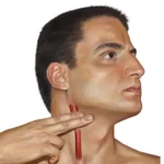 ¿Qué es la anatomía clínica?