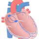 ¿Cuál es la principal función del nódulo auriculoventricular?
