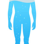 Distribución del agua corporal