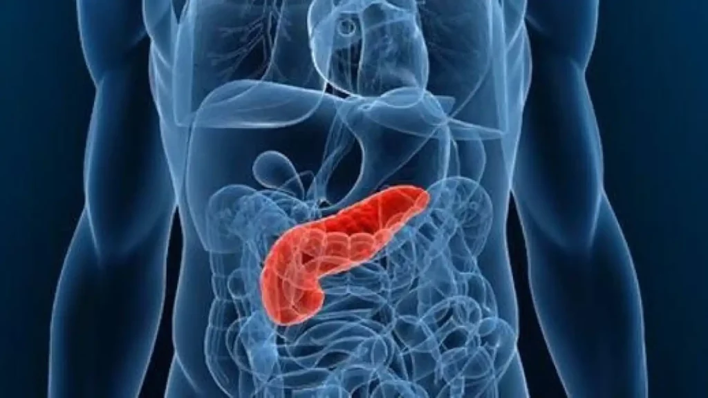 Características del cuello del páncreas