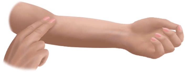 ¿Dónde se palpa la arteria humeral?