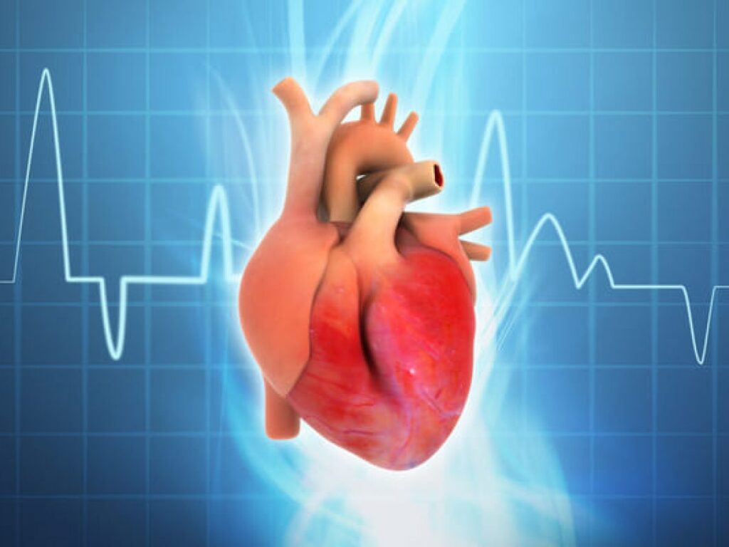 Manejo de las bradiarritmias