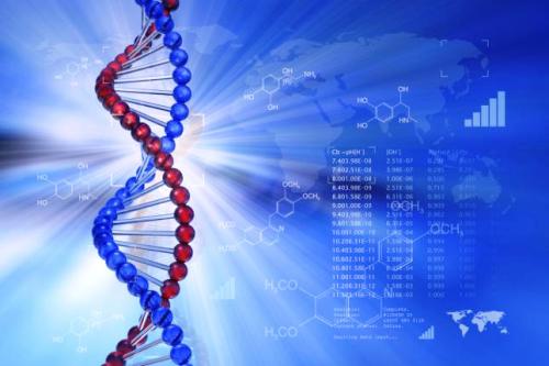 El ADN como herramienta estructural