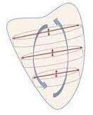 Energia cinética del ventrículo izquierdo