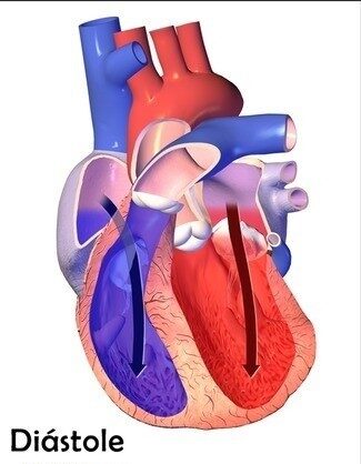 Diástole